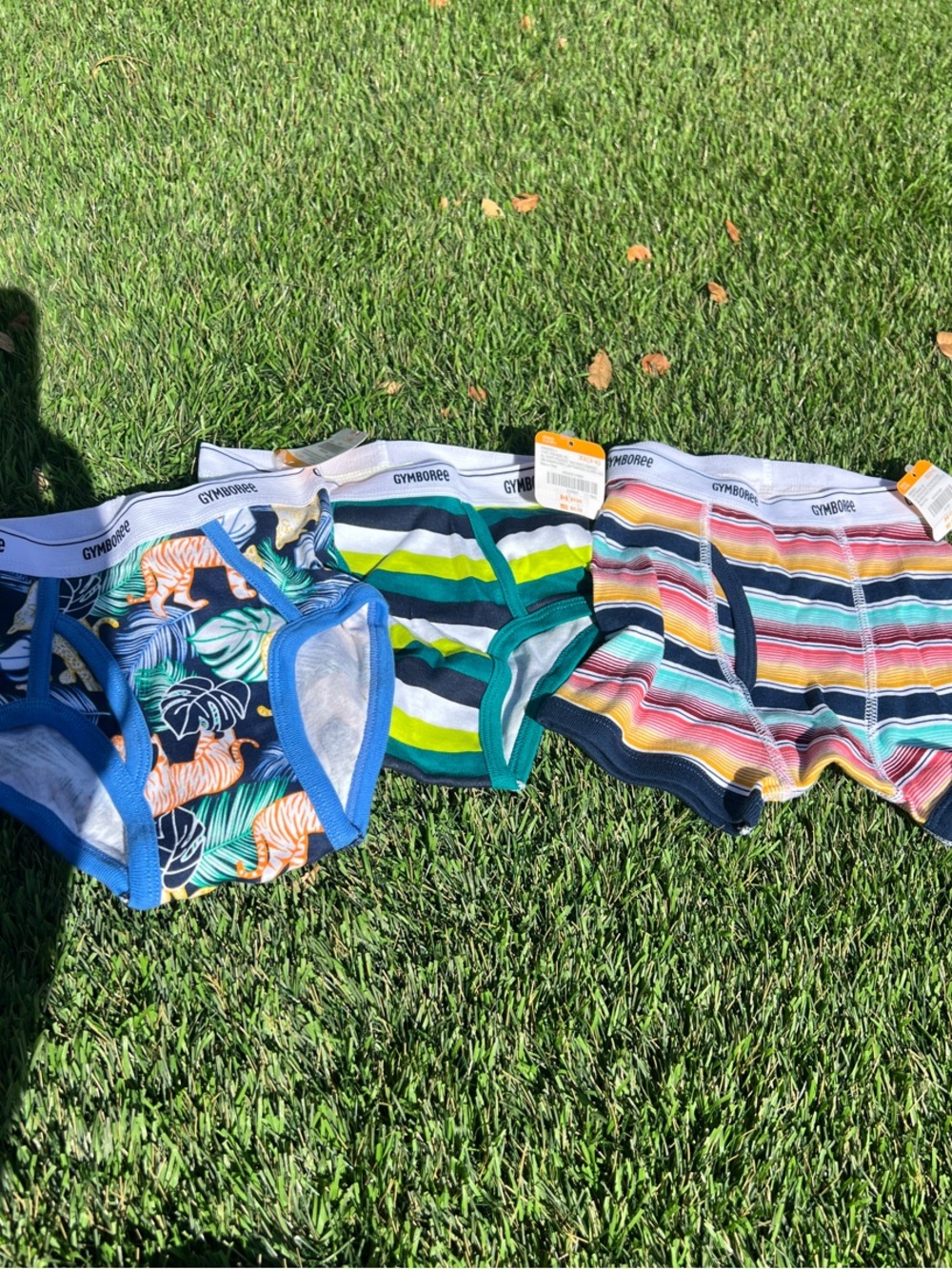 Gymboree Boys' Blue, Green & Multi-Striped Briefs Set XS (3-4)